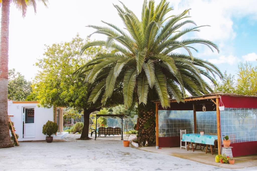 Casita Gopal Villa Icod De Los Vinos Exterior photo