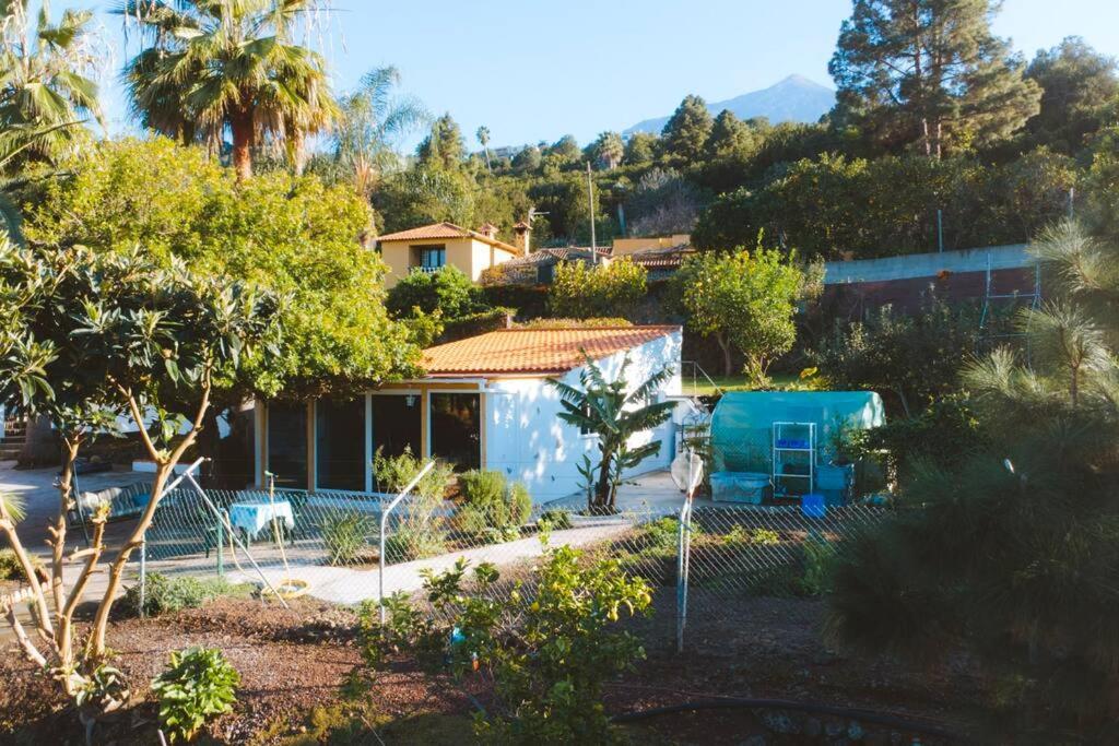 Casita Gopal Villa Icod De Los Vinos Exterior photo